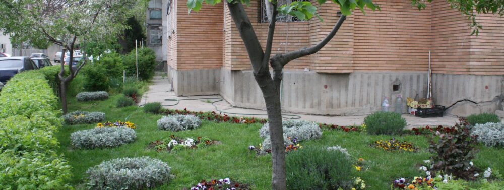 Cum sa tundeti pomii si plantele de gradina ca un profesionist?