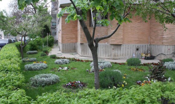 Cum sa tundeti pomii si plantele de gradina ca un profesionist?